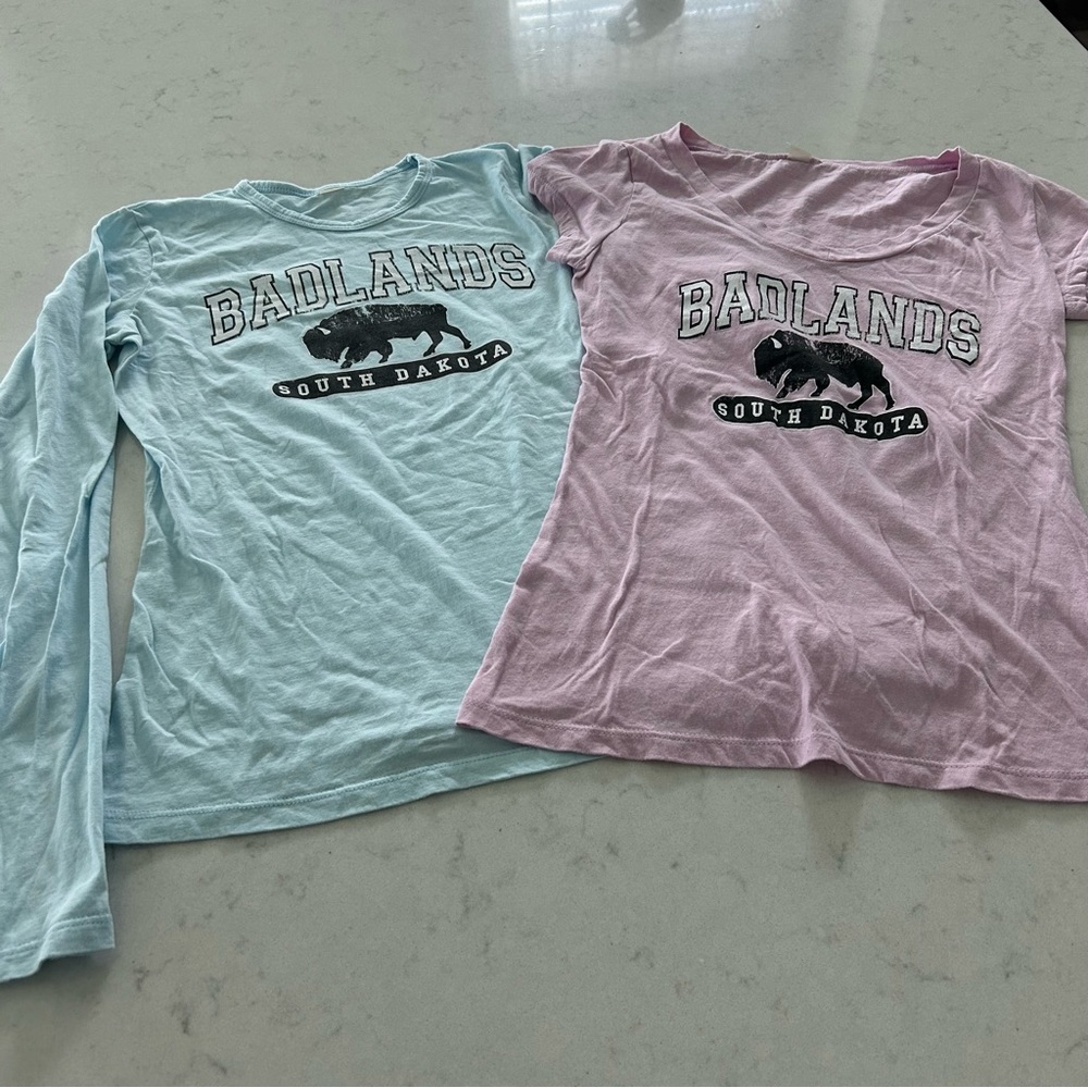 Badlands South Dakota T-Shirts in Blue and Pink Size Small
